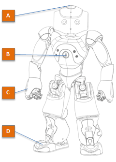 ../../_images/nao_h25_tactile.png